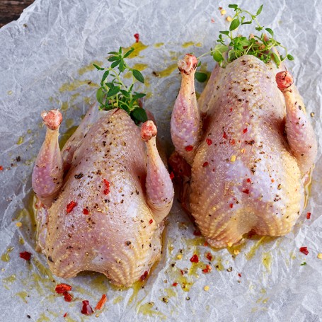 Pintadeau | à la pièce